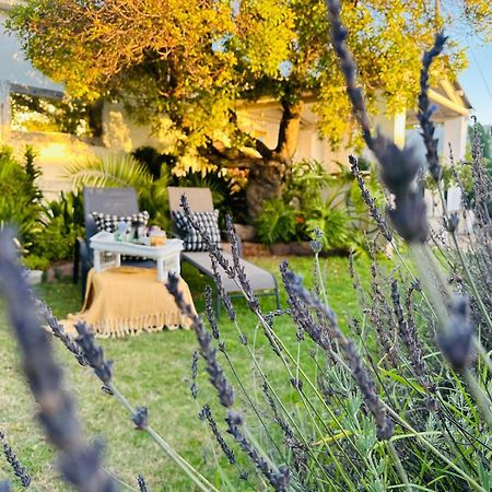 Villa Da Graca - Homecooked Meals On Arrangement モーセル・ベイ エクステリア 写真
