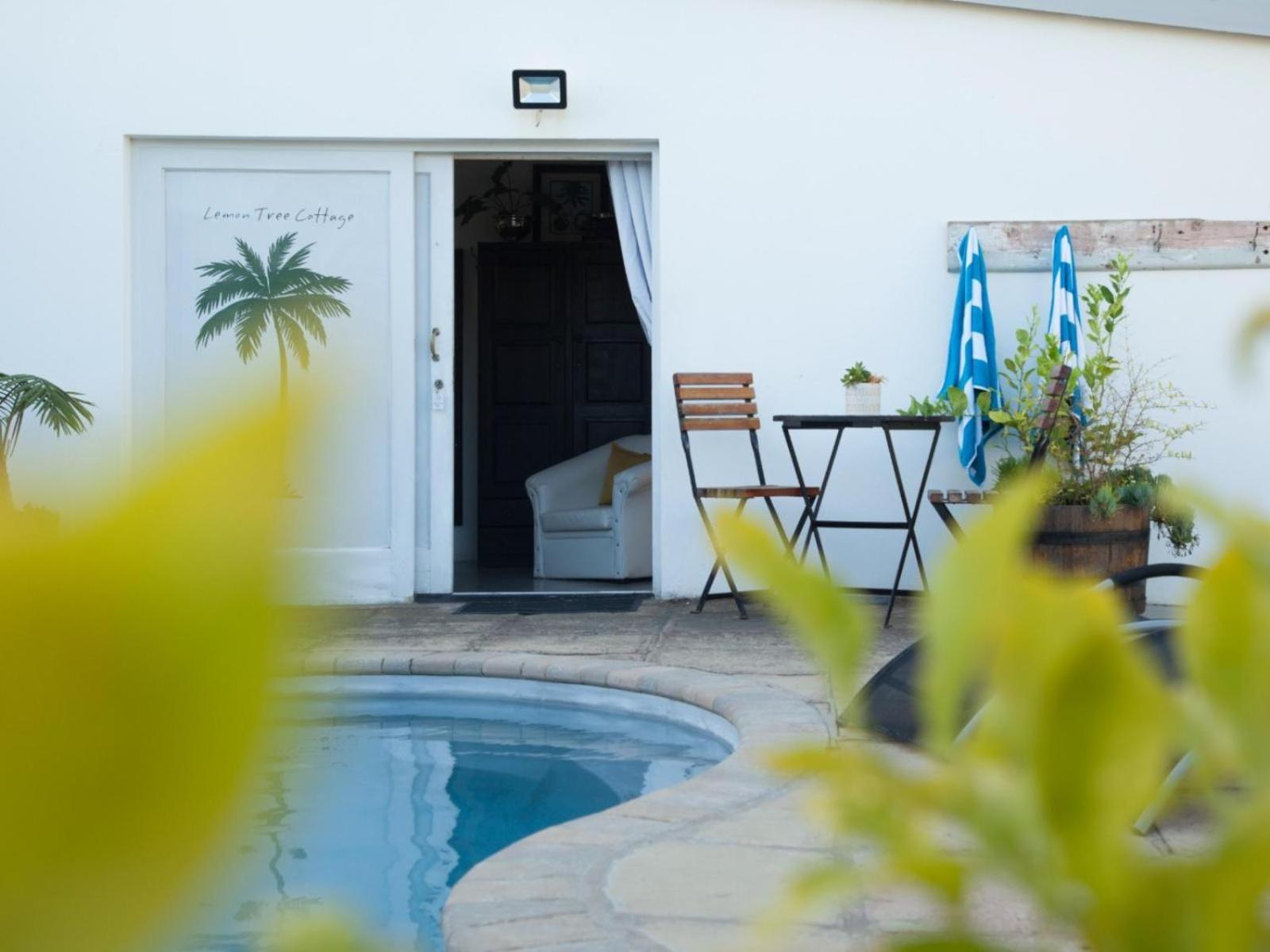 Villa Da Graca - Homecooked Meals On Arrangement モーセル・ベイ 部屋 写真
