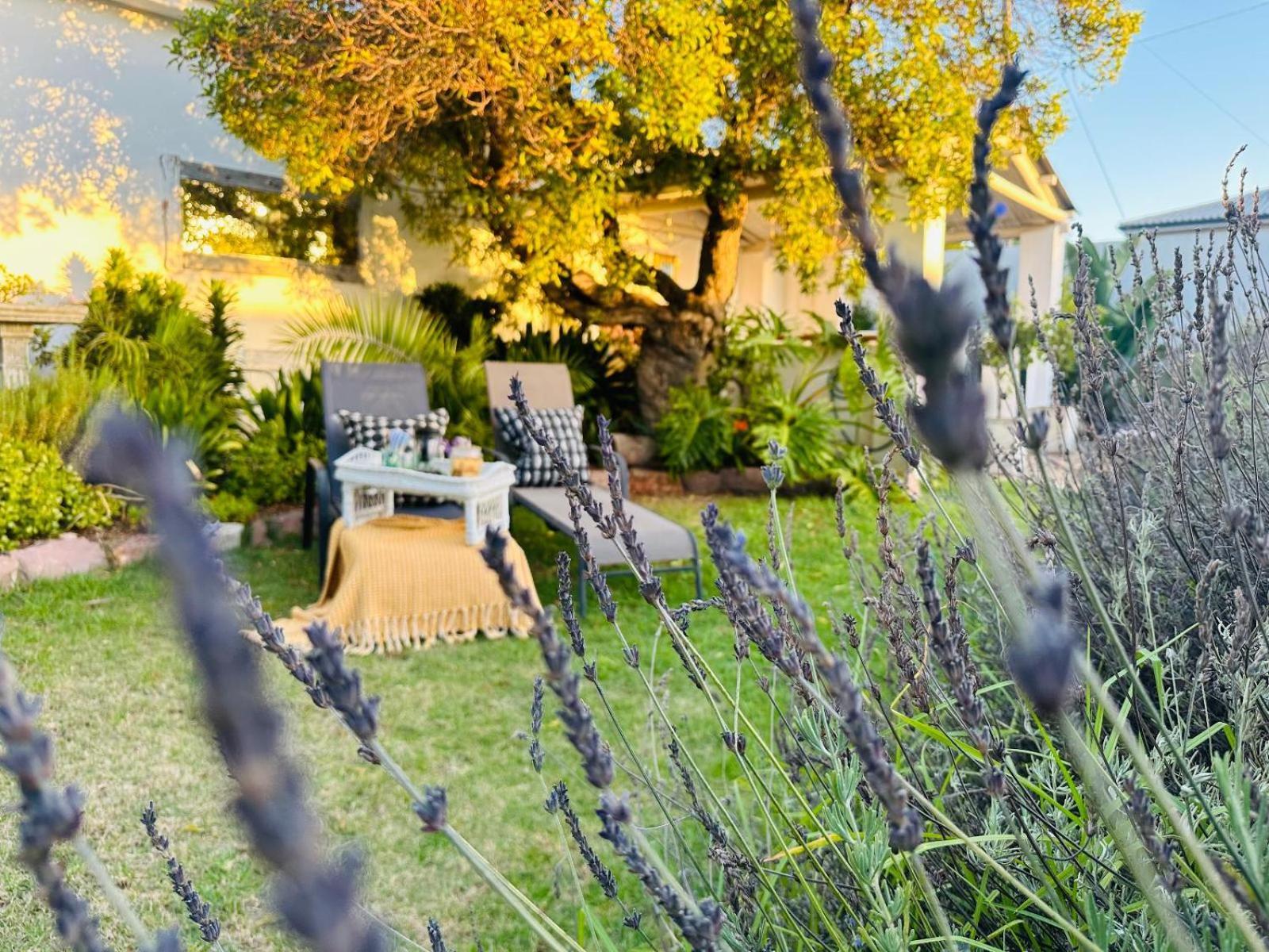 Villa Da Graca - Homecooked Meals On Arrangement モーセル・ベイ エクステリア 写真